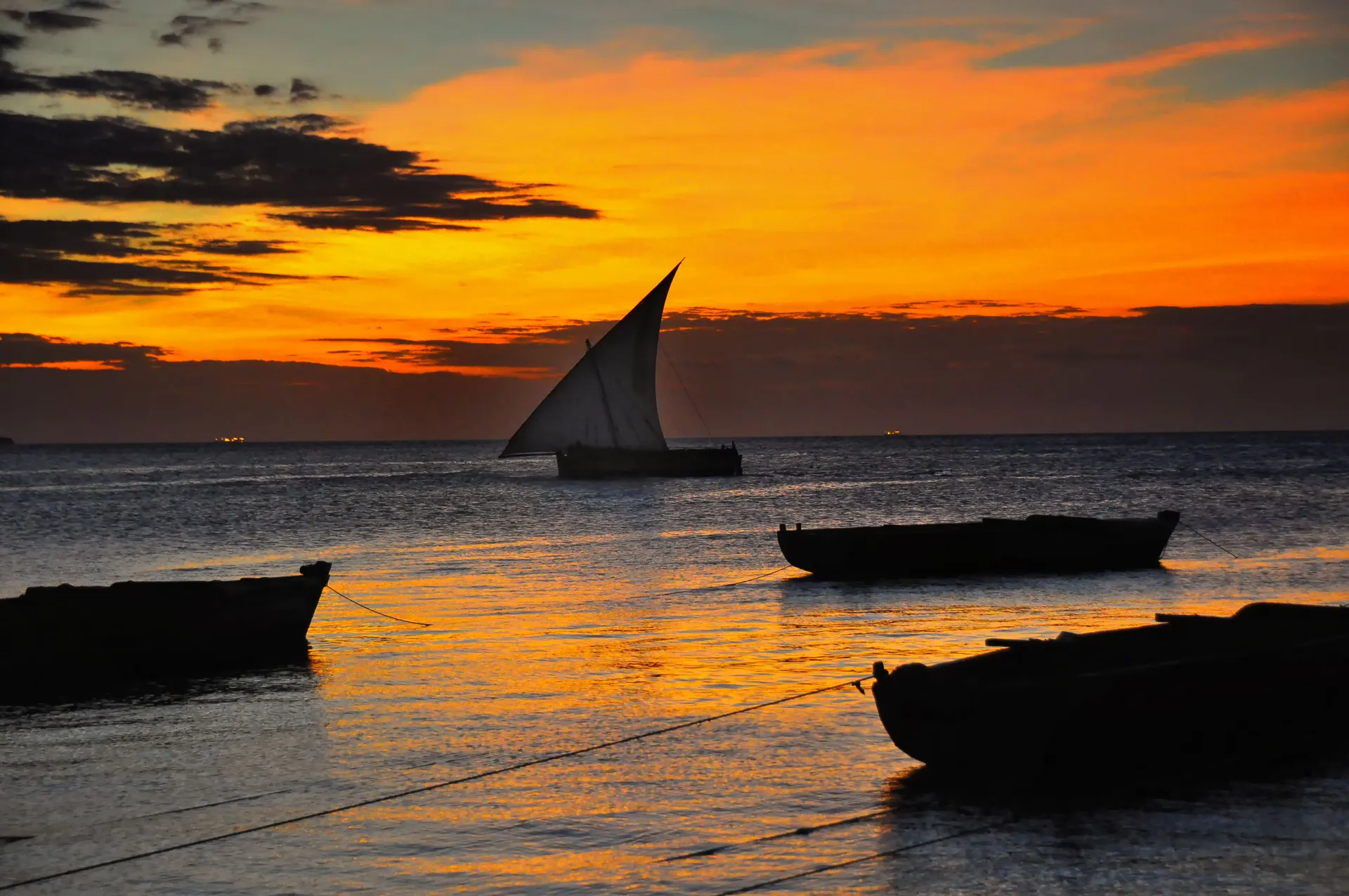 Silhouette of a dhow at sunset off Stone Town, Zanzibar